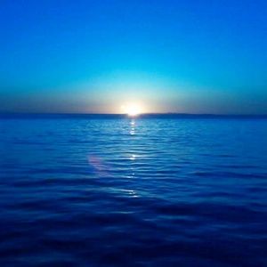 Meet your Posher, Marlita